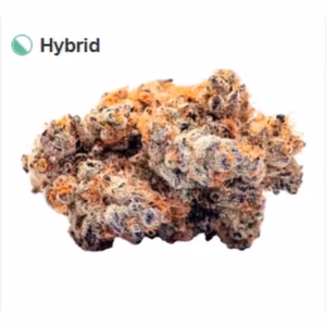 sunset-sherbet-michigan-top-shelf