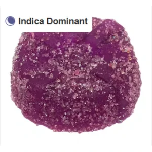10x-the-madness-the-sour-purple-one-live