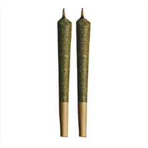 lemon-cherry-gelato-pre-roll-1g