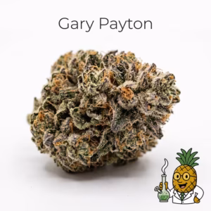 Gary Payton — #4 Most Popular 2026