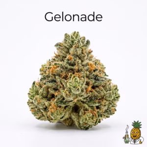 Gelonade — #17 Most Popular 2026