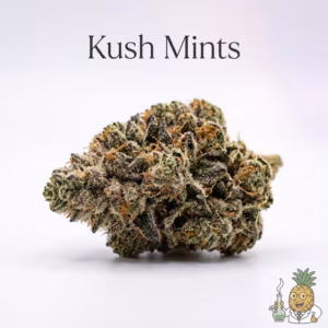 kush-mints-20-most-popular-2026